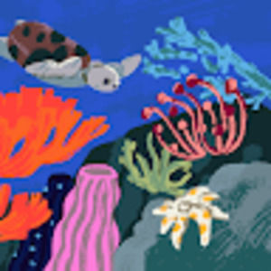 Meet your Posher, Camila cesar ferrino